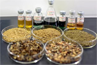 鄭州大學(xué)賈陸教授團(tuán)隊(duì)突破創(chuàng)新 金絲楠木提取物研發(fā)獲國家專利，植物提取技術(shù)再攀高峰